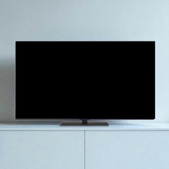 LG전자 4K UHD 올레드 evo TV, 163cm(65인치), OLED65G5KNA, 스탠드형, 방문설치