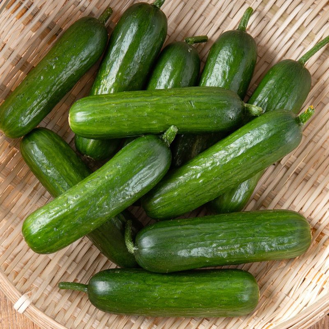 수분 가득 아삭한 미니오이 간식오이 신선채소, 1박스, 500g
