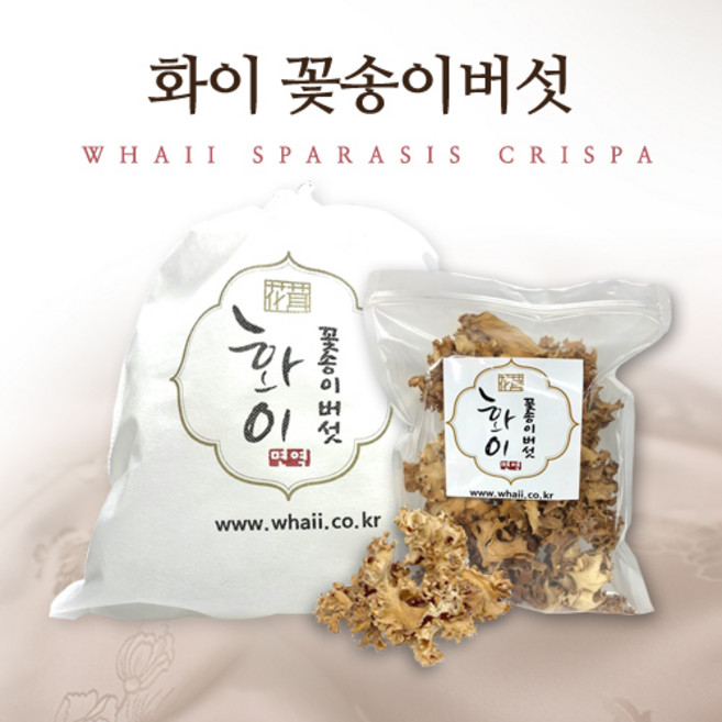 화이꽃송이버섯 건조꽃송이버섯, 1개, 100g