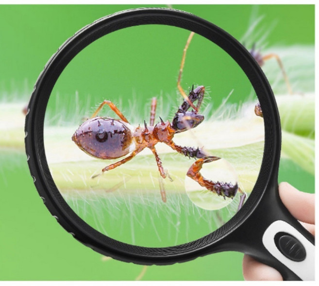 확대 돋보기 고배율 독서 신문 미세작업 시력보조 단면, 1개, LED왕돋보기