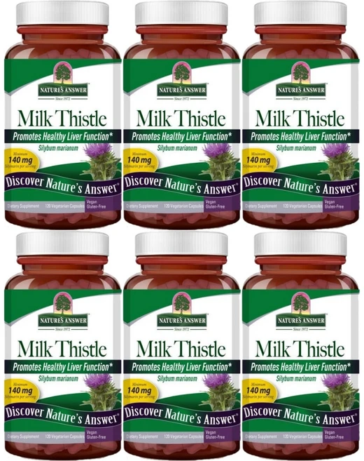 네이처스앤서 밀크씨슬 140mg, 120정, 6개 - 쿠팡