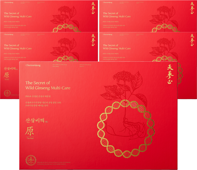 고농축 산삼진액 천삼정 산삼비책원 더 레드, 5박스, 600ml