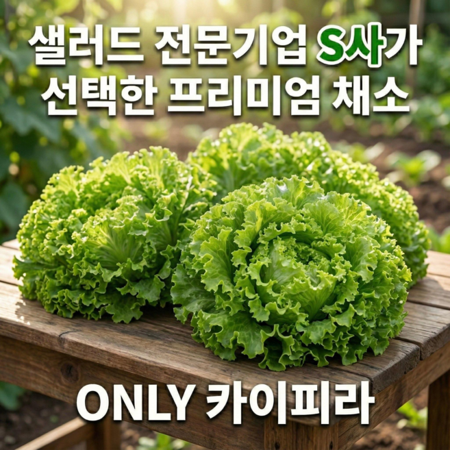 [마제유통] GAP 인증 프리미엄 유러피안 샐러드 카이피라 / 유럽 상추 쌈채소 / 신선 원물 1kg, 1박스
