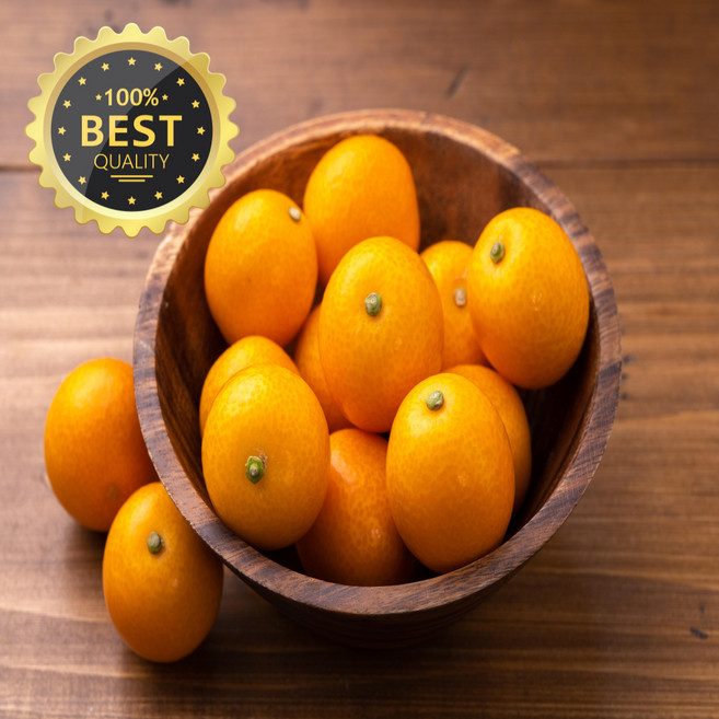 [당일새벽수확] 제주 금귤 낑깡 3kg 5kg 10kg, 1박스