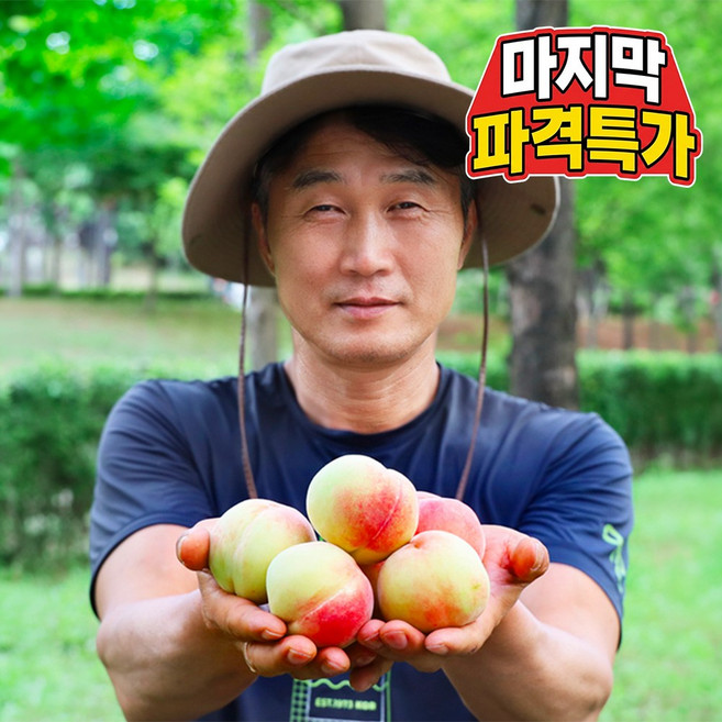 [역대급초특가] 긴급완판 대극천 복숭아, 1박스, 5kg