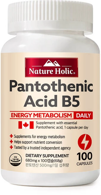 네이처홀릭 판토텐산 B5 1병 100캡슐, 100회분, 1개 - 쿠팡