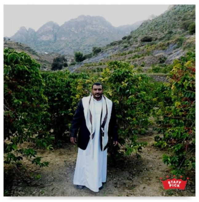 참나무 로스팅 예멘 모카 마타리, 200g, 1개