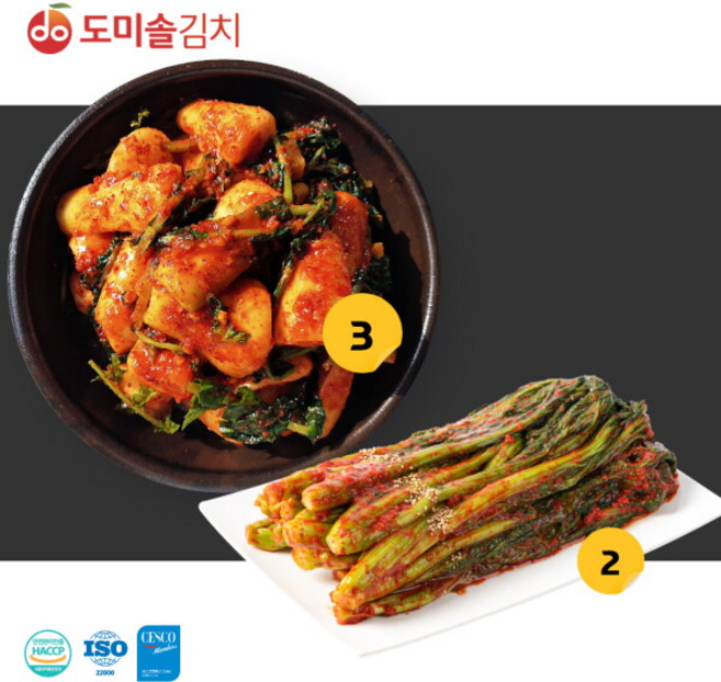 [도미솔김치] 도미솔 총각김치3kg+갓김치2kg, 1세트, 5kg