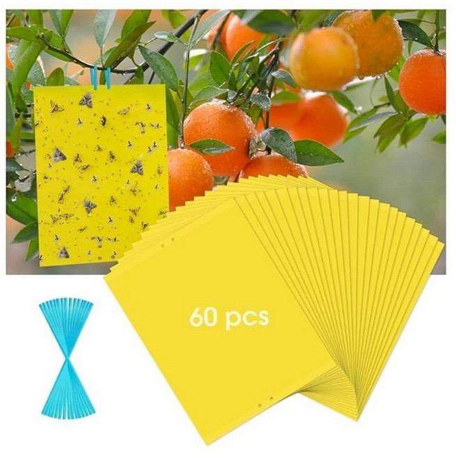 60 Pack Yellow Sticky Traps for Gnats Fruit Fly Traps for Indoors Fungus Gnat Traps for House Ind, 클래식