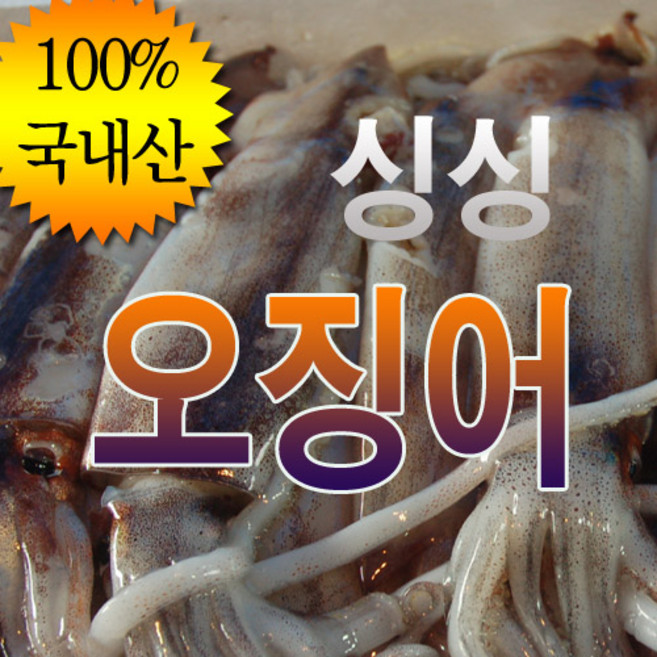 신진도오징어 완벽 가이드 — 선택 방법부터 주의사항까지