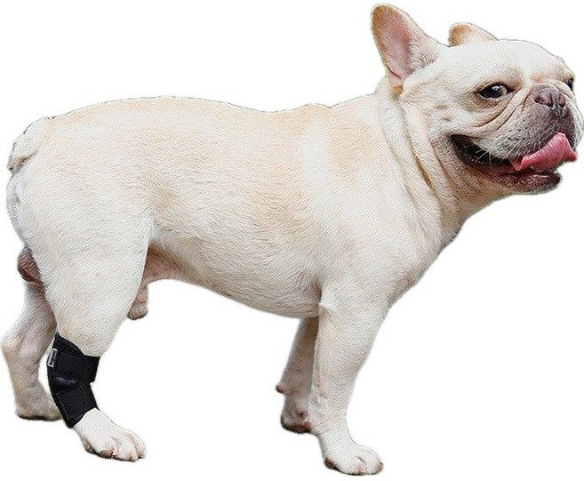 狗狗護膝 透氣舒適可調節 關節保護 時尚, 短筒-黑色S號【尺寸請參考照片說明】, 1個