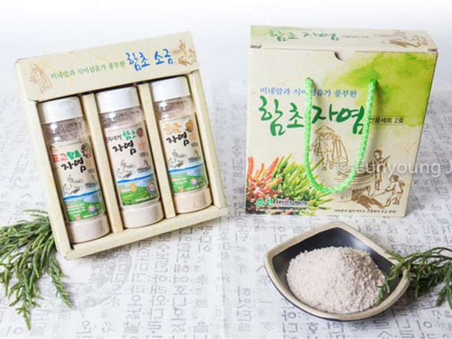 진짜배기함초 진짜배기 순천만함초 자염선물세트 100gx3개 저염소금