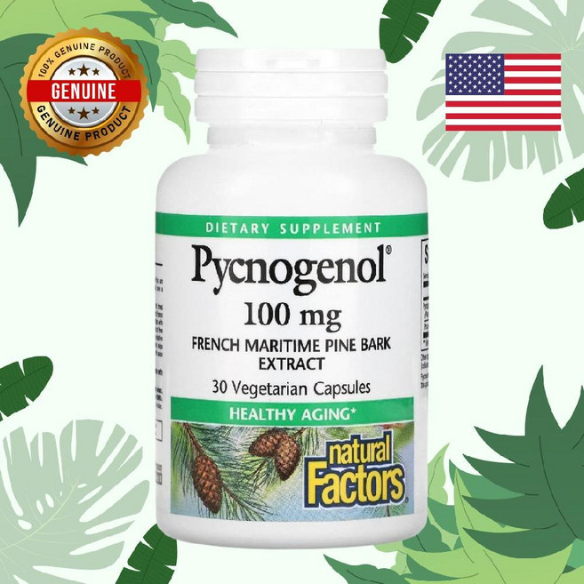내추럴팩터스- Pine Bark Pycnogenol 피크노제놀 100mg 베지 캡슐 30정, 1개