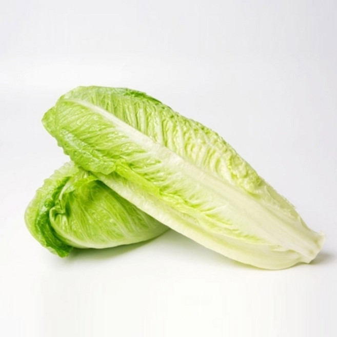 국내산 통 로메인 상추 2kg / 15-20통, 1개