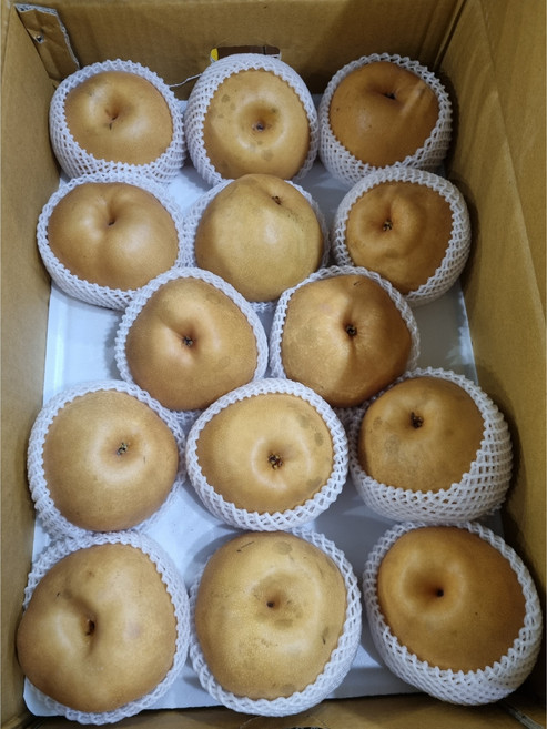 과일참맛 신고배 배 가정용 선물용, 나주배 가정용 15kg (31~35과), 1박스, 15kg