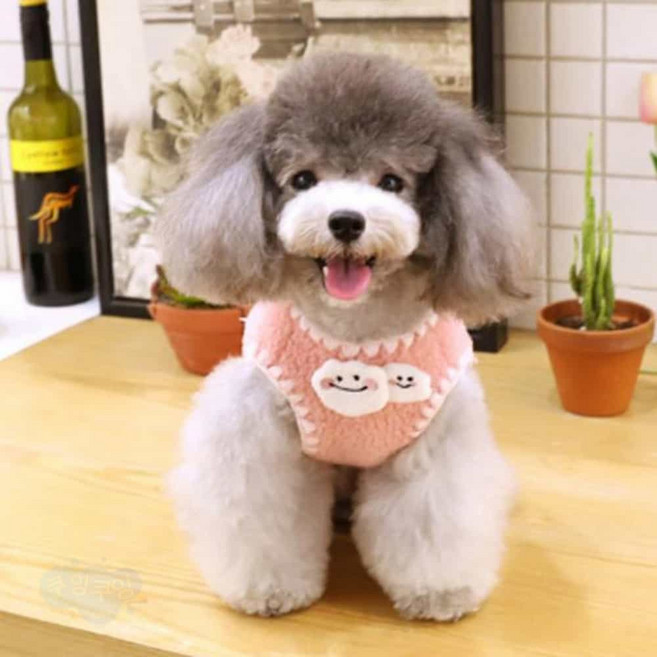 반려동물 애견겨울옷 우리집 상전 뽀글이 후리스 조끼, 브라운, 1개