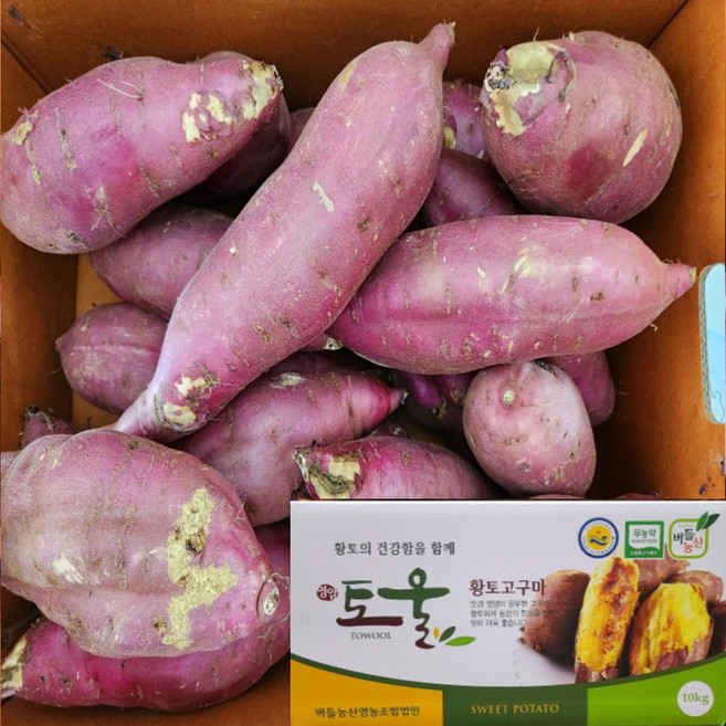 행복농산 토울고구마 영암 무농약 10kg, 1박스, 10kg(못난이/대크기)토울고구마