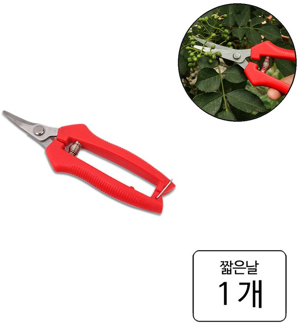 룰루랄라 원예 과수 적과 관리 코너 휘어진 곡가위, 짧은날(11421), 1개