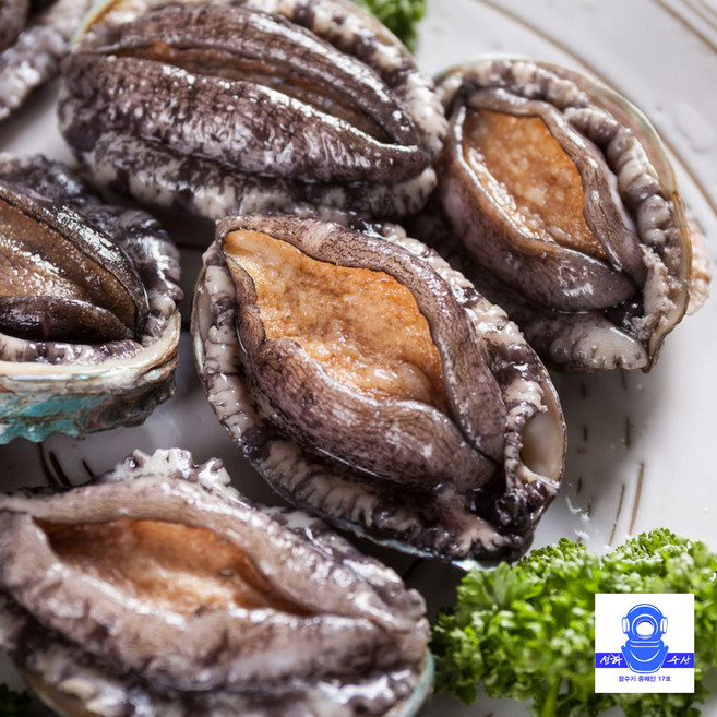 선하수산 한입 크기의 완도 참전복 소 1kg (17~23미), 1박스