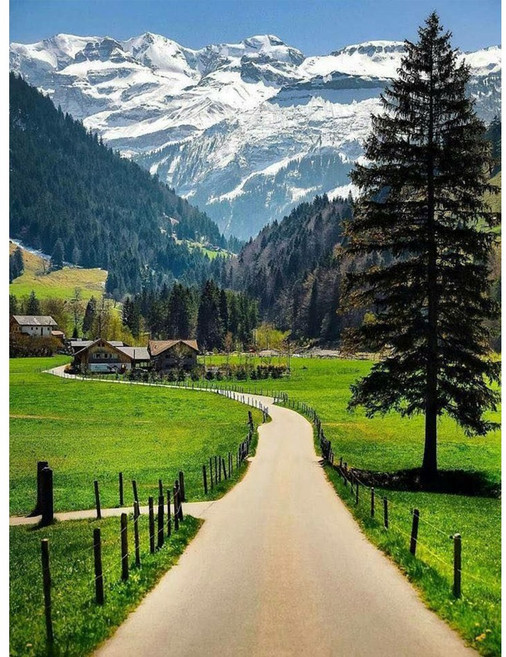 DIYEE 비즈 큐빅 보석십자수 세트 패브릭형 30x40cm, OH010 스위스의 길, 1개