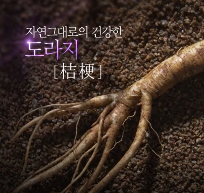 무농약 6년근 약도라지청 도라지정과, 1개, 300g, 도라지 청