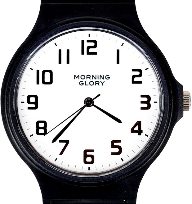 모닝글로리 수능 합격 손목시계 L