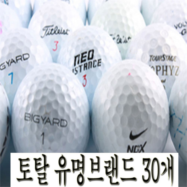 (주)더스카이 토탈 유명브랜드 특가형 로스트볼 30알, 1개, 화이트, 60개입