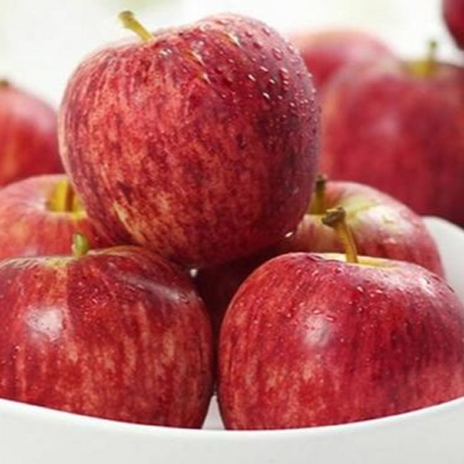 [메가딜]폭풍할인 단골천명 냉장고필수 달콤콰삭 못난이사과, 1박스, 3kg