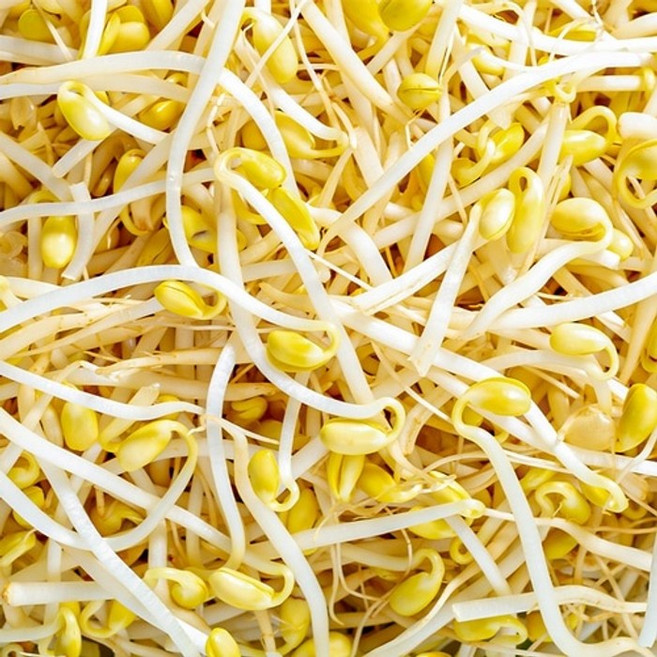 정성가득 아삭아삭 무농약 콩나물, 2kg, 1개