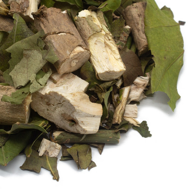 황칠나무 국내산 500g 가지+잎, 1개