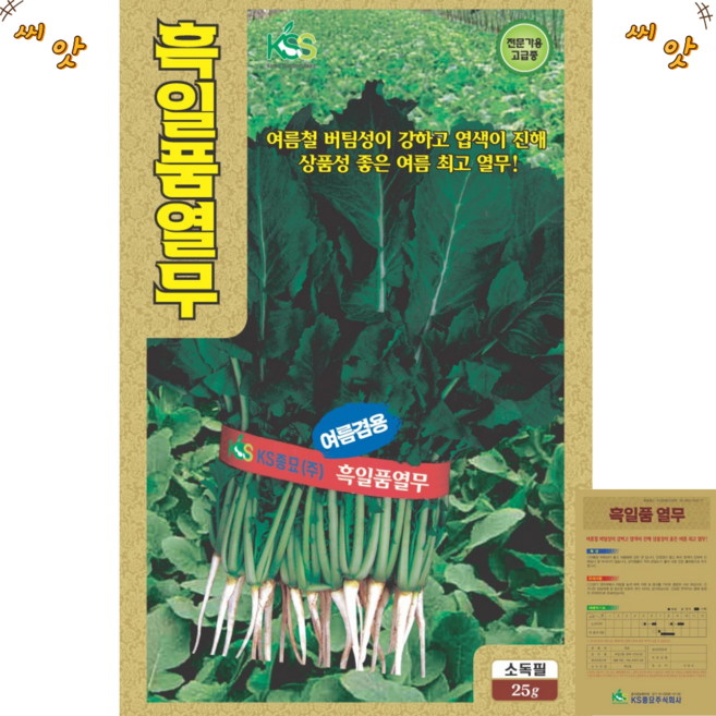흑일품 여름 열무씨앗 25g 단묶음용 열무, 1개