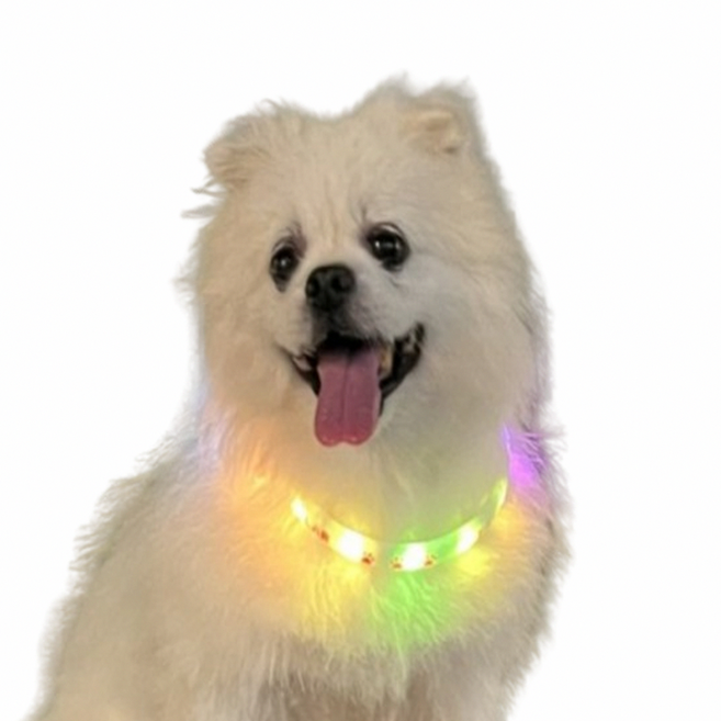 그램도그 강아지 야광 목걸이 led 블링커 불빛 라이트 충전식 야간산책 목줄 팬던트, 1개