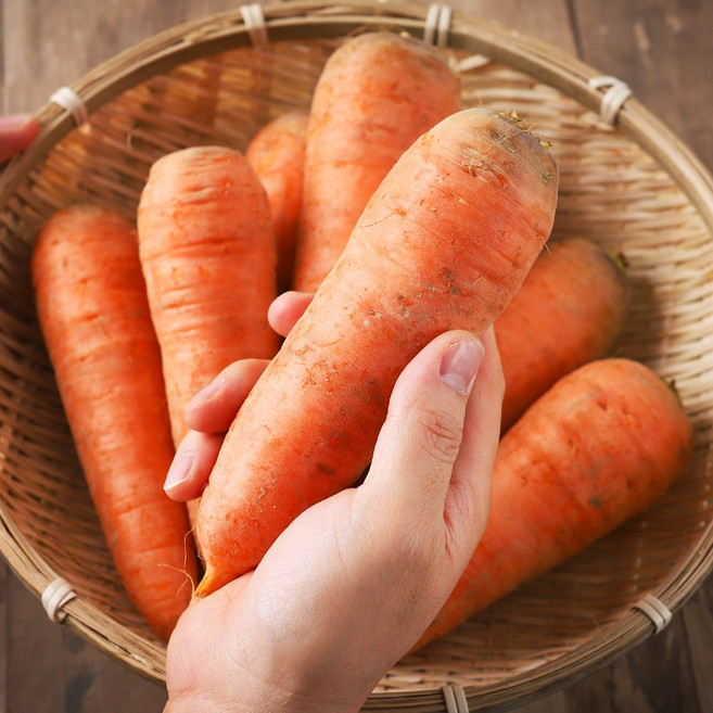 국내산 제주 구좌 햇 흙 당근, 1박스, 10kg(왕)