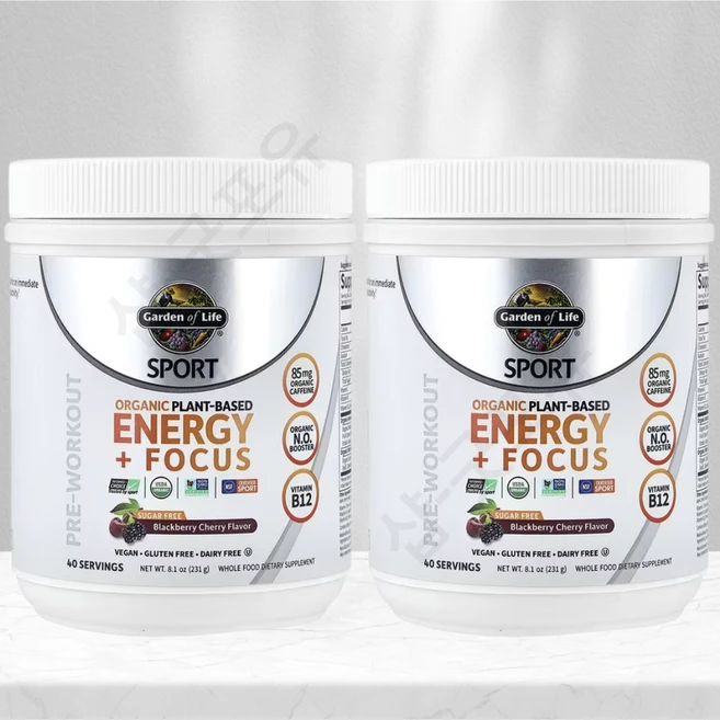 가든오브라이프 Sport 식물성 에너지 포커스 프리워크아웃 블랙베리 체리 231g 8.1oz, 2통 - 쿠팡