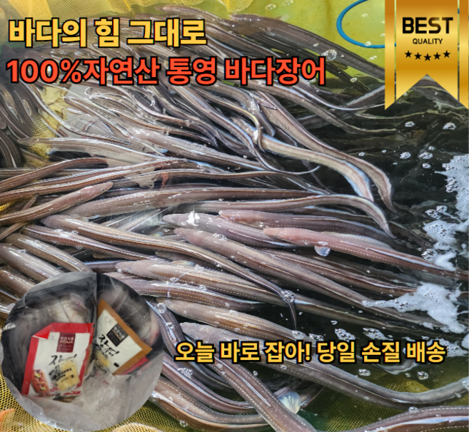 [해들바담]국산 통영 자연산장어 손질바다장어 붕장어 구이용 간장소스1팩 매콤소스1팩증정 산지직송 당일배송, 1박스, 5kg