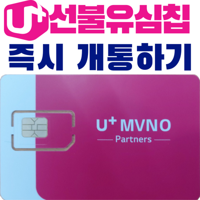 LG선불유심칩 개통하기, 1개