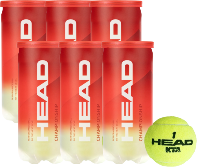 헤드 챔피언쉽 테니스공 시합구 캔볼 (2개입), 옐로우, 6개