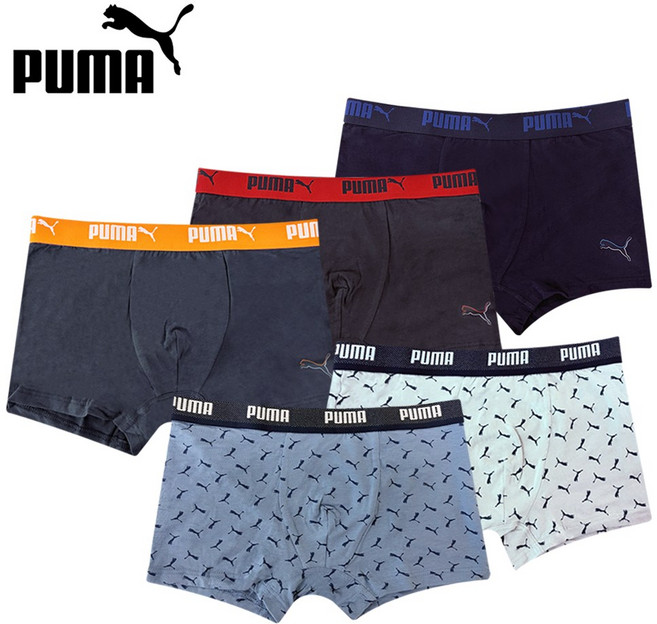 PUMA 푸마 주니어 남아 드로즈 팬티 세트 초등학생 중학생 드로즈