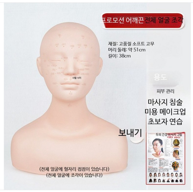 마네킹 마사지 모델 실기연습 실습 눈썹, 1개, 10_어깨끈 부드러운 소재 각진 경혈