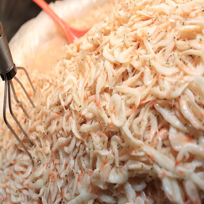 금메달농수산 국내산 남해 정품 새우젓 추젓, 1개, 2kg