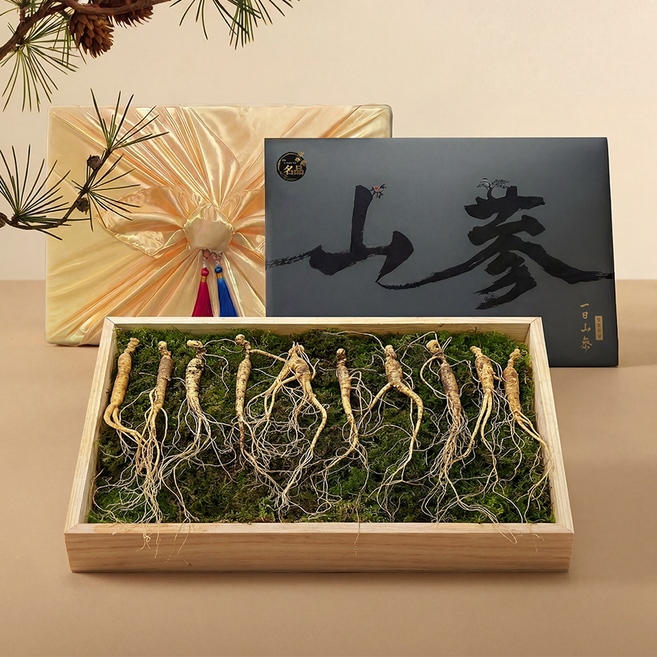 일일산삼 10년근 산삼 파지삼 10뿌리 산양삼 장뇌삼 선물세트, 10개, 5g