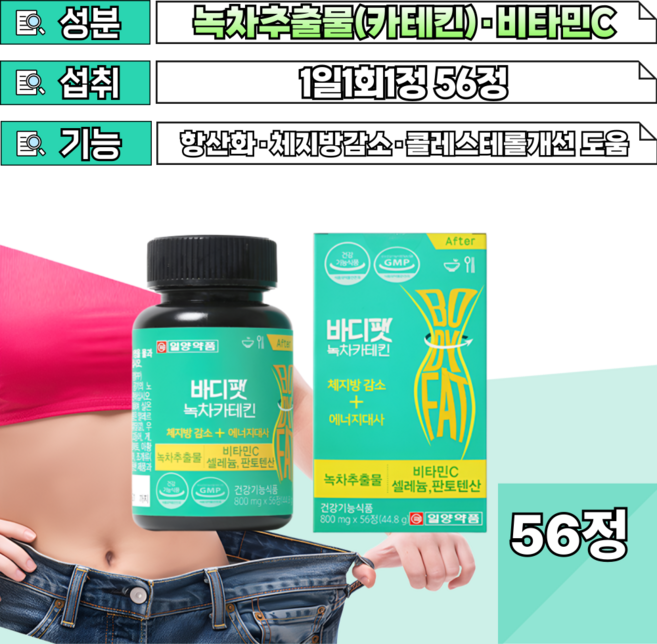 fat 성하기여름 야유회 40대 주부 식습관 카테킨 녹차 다이어트 식단 중 피로한 몸 음식조절 야식 먹은날 꾸준한 습관 인스턴트 패스트푸드 즐기는 성인 건강기능식품, 1개