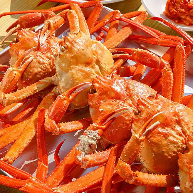 당일조업 구룡포 자숙 연지홍게 육수용 일반 고급 박달 홍게 3kg, 1개, 3.5, 특급 박달 홍게  (7~8미)