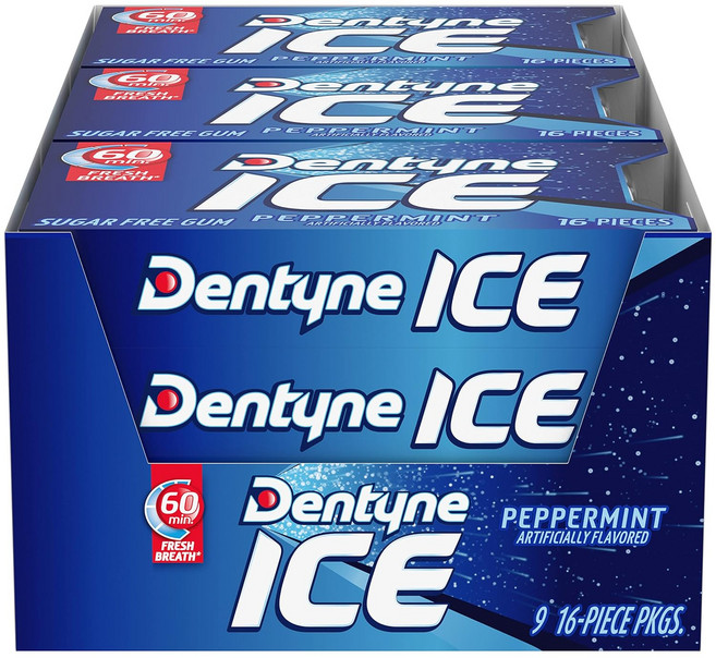 덴타인 아이스 검 페퍼민트 9개입, 48g, 1개