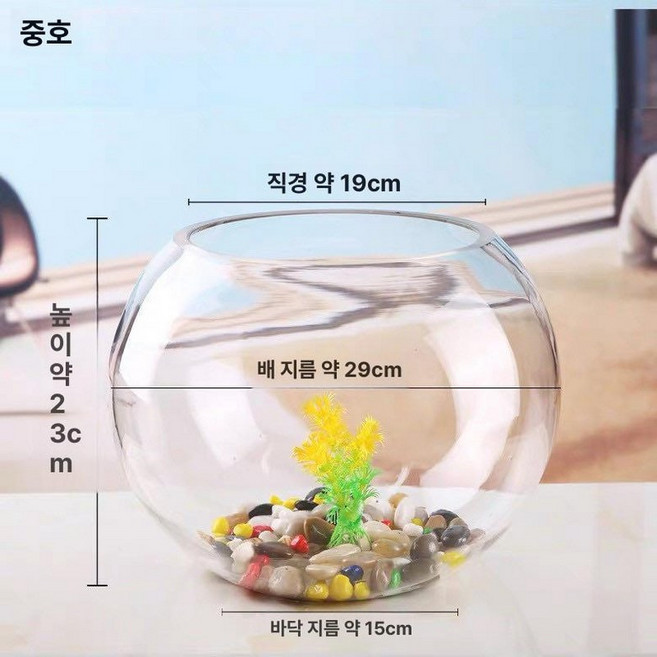 유리 어항 둥근 원통 수조 수족관 구피 가정용, 1개, 30cm+컬러 스톤+수초+조개+바다 달팽이