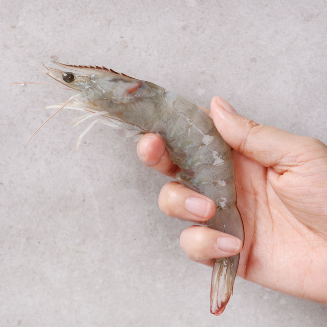신선한 페루산 냉동 흰다리새우 2kg, 1개, 대 2kg(60-80마리)