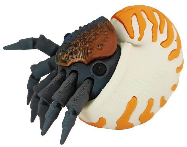 앵무조개 노틸러스 Nautilus 고대 생물 동물 모형 3D 프린팅 피규어 6cm, 화이트 그레이