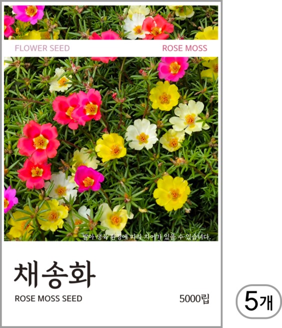 채송화 씨앗 5000립, 5개