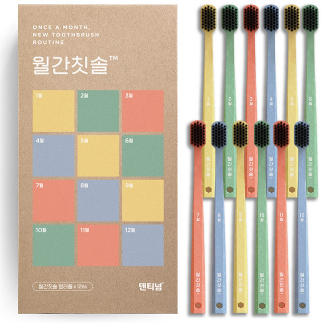 덴티넘 월간칫솔 컬러풀, 12개입, 1세트