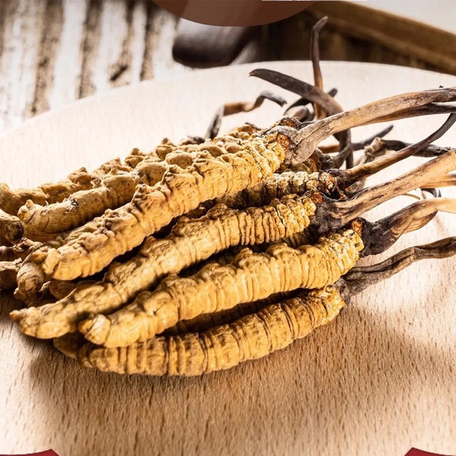 OKYAIOS 야생 동충하초, 1개, 20g